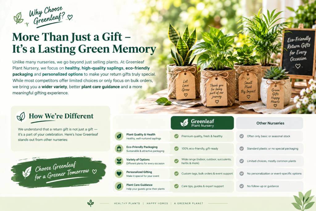 Plant Sapling as a Return Gift