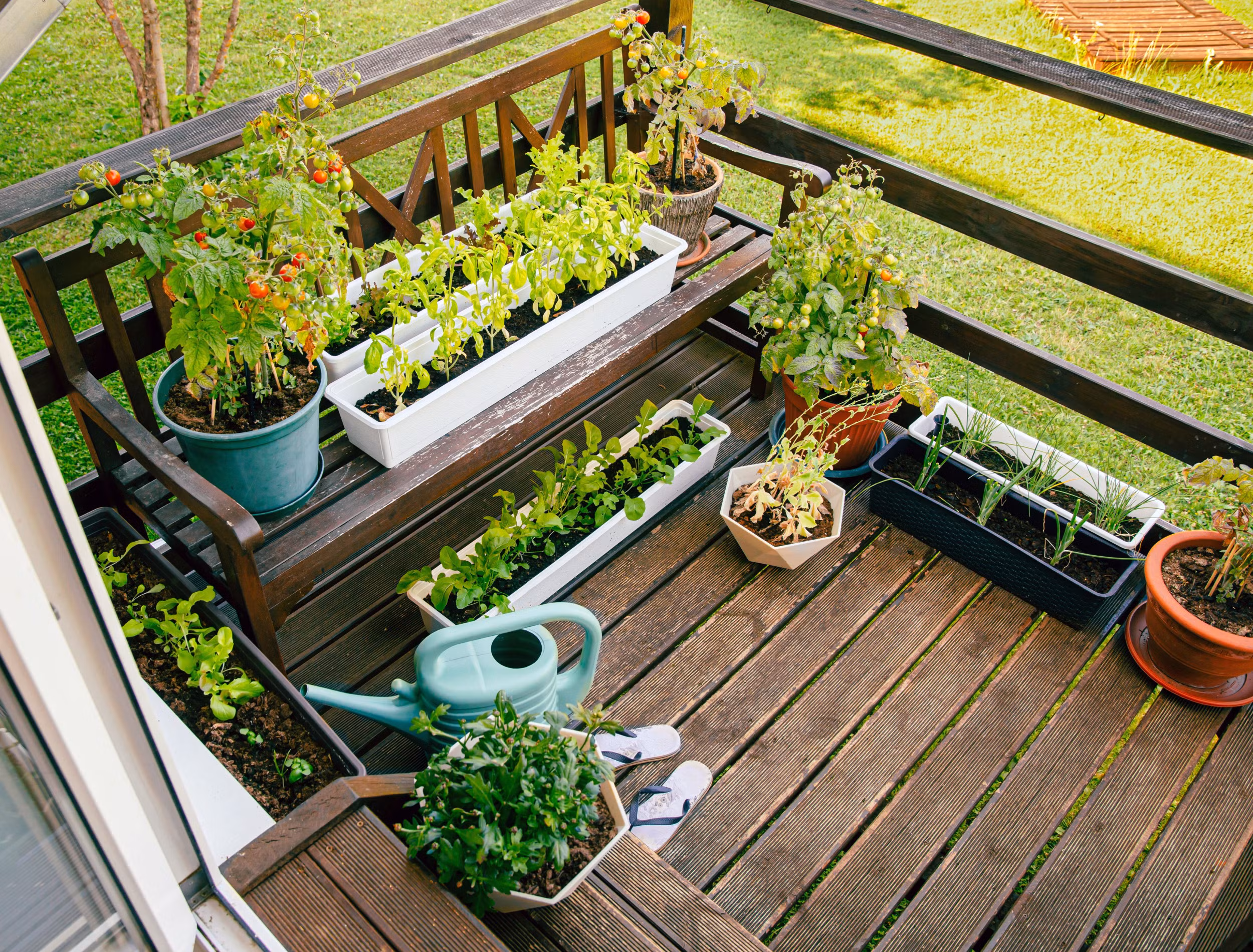 Garden Maintenance Services