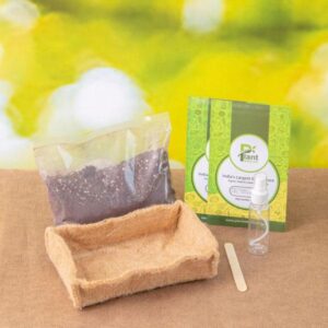 Gardening Made Easy with Microgreens Grow Bag and Ready to Use Soil Mix