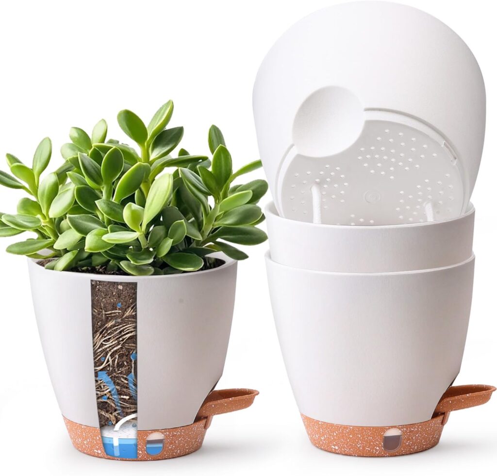 8 Inches Self-Watering Pot