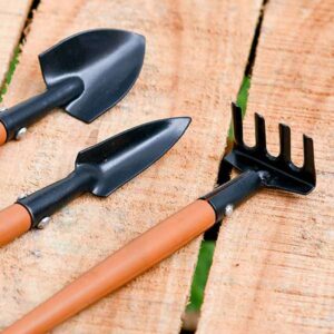 Bonsai Set Gardening Tools